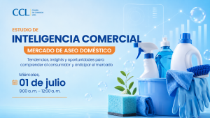 ESTUDIO DE COPECOH REVELARÁ TENDENCIAS DEL MERCADO DE ABSORBENTES DE HIGIENE PERSONAL Y ASEO DOMÉSTICO