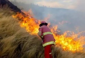INCENDIOS FORESTALES EN PERÚ: 520 DISTRITOS ESTÁN EN RIESGO MUY ALTO